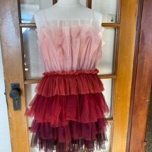 Storia Blush Pink and Wine Ombre Tulle Dress